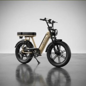 Bike Eletrica E-koa Duos 1000w Bateria De Litio Removivel